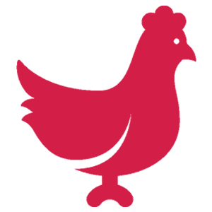 Vleeskuikens