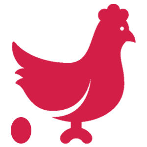 Legkippen